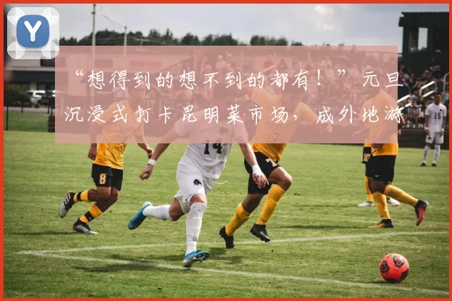 “想得到的想不到的都有！”元旦沉浸式打卡昆明菜市场，成外地游客新时尚