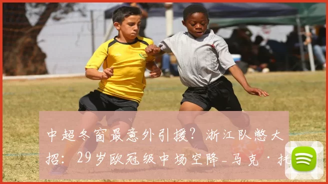 中超冬窗最意外引援?浙江队憋大招:29岁欧冠级中场空降_马克·托利奇_赛季_斯洛伐克联赛