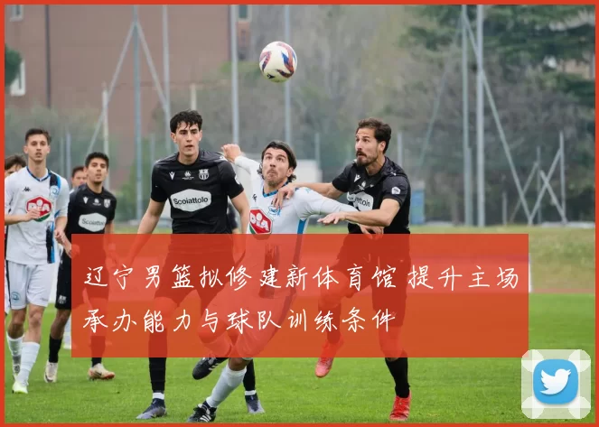 辽宁男篮拟修建新体育馆 提升主场承办能力与球队训练条件